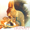  irina7777