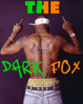  The_DarkFox