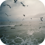 ������� wasted-