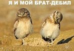 ������� ��������������