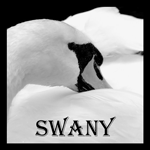 ������� SwAnY