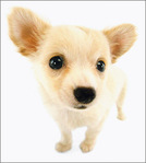 ������������� ������