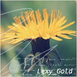  Lexy_Gold