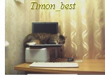 ������� Timon_Best