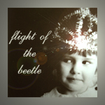  flight_of_the_beetle