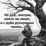 https://i.li.ru/av/584/2396584_17640625.jpg