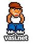 ������� vasi-net