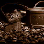 Профиль Coffee_Kitten