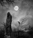 ������� Emptiness77
