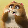 ������� homkka