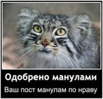 ������� manul_Poglazhen