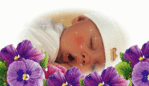 ������� mir2010m