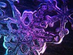 ������� IceFrost
