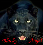  Blacky_Angel