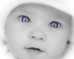 ������� Angel2110