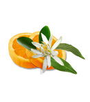 Профиль la_fleur_d_orange