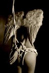 ������� AngeLooKk