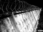 ������������� ������
