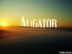Профиль aligatorik