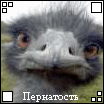 ������� test_journal