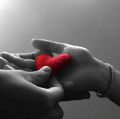 ������������� ������