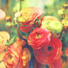 ������� -dreaming-out-loud-