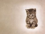 ������� Shy_Kitten-Dreamer