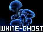 ������� White-Ghost