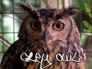 Профиль Grey_Owl