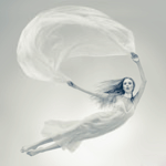 ������� OISEAU