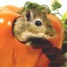 ������� HellMaus