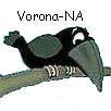  Vorona-NA