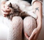 ������� -Reggi-