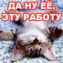 ������������� ������