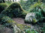 ������� Dead_Leaves