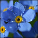 ������������� ������