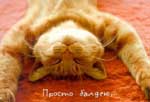 ������� P_V_V