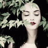 ������� Faye_Snowwhite