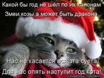������� Llyellin