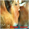 ������� Obesession
