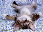 ������������� ������