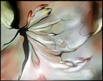 ������� papilio_65