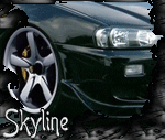  SkyLine_DK