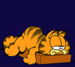 ������������� ������