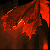 ������� Holy_DEVIL