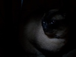 ������� Nightmare_R
