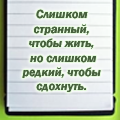 ������������� ������