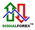  Signal_Forex