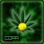 ������� MrCOPA