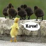 ������������� ������